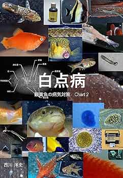 よしページ White spot disease Kansyougyonobyoukitaisaku (Japanese